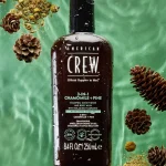 AMERICAN CREW™ 3-IN-1 CHAMOMILE + PINE šampūnas, kondicionierius ir dušo želė viename