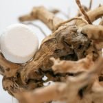The Bar Nourish – Solid Shampoo